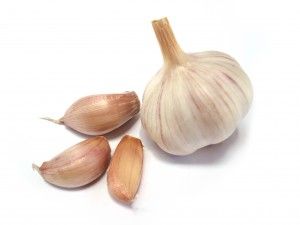 garlic oil ear relief